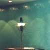 green specialist decoration of modern interior reception walls