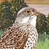 painted murals on canvas bird of prey detail